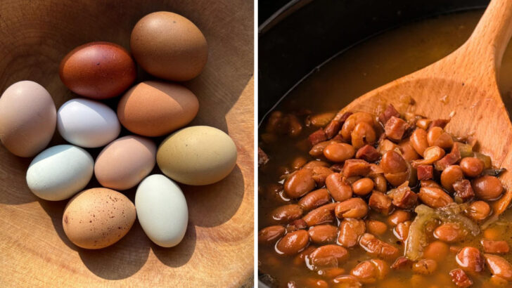 10 Cheap Protein Sources You Should Be Eating