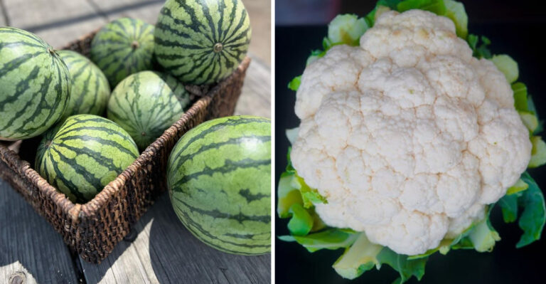 12 Foods You Can Eat a Lot of Without Gaining Any Extra Weight