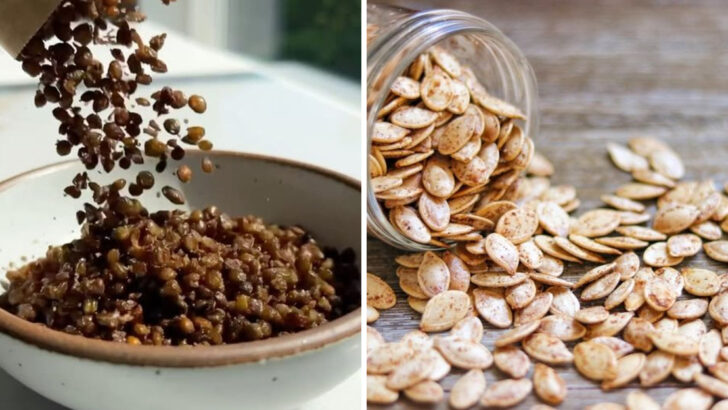 15 Foods That Are Surprisingly High in Protein