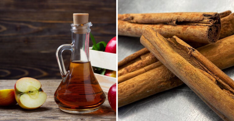 15 Foods That Speed Up Your Metabolism Naturally