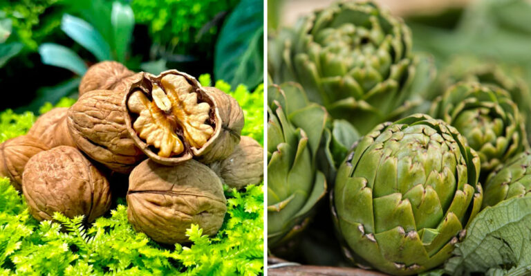 18 Foods High In Antioxidants—And Why You Should Eat More Of Them