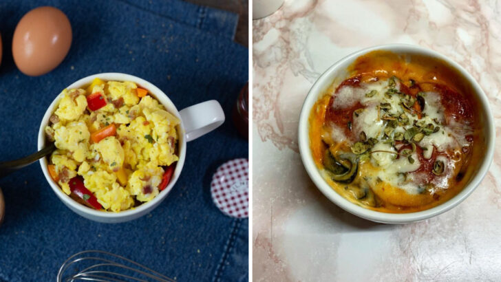 25 Delicious Microwave Meals That Anyone Can Make