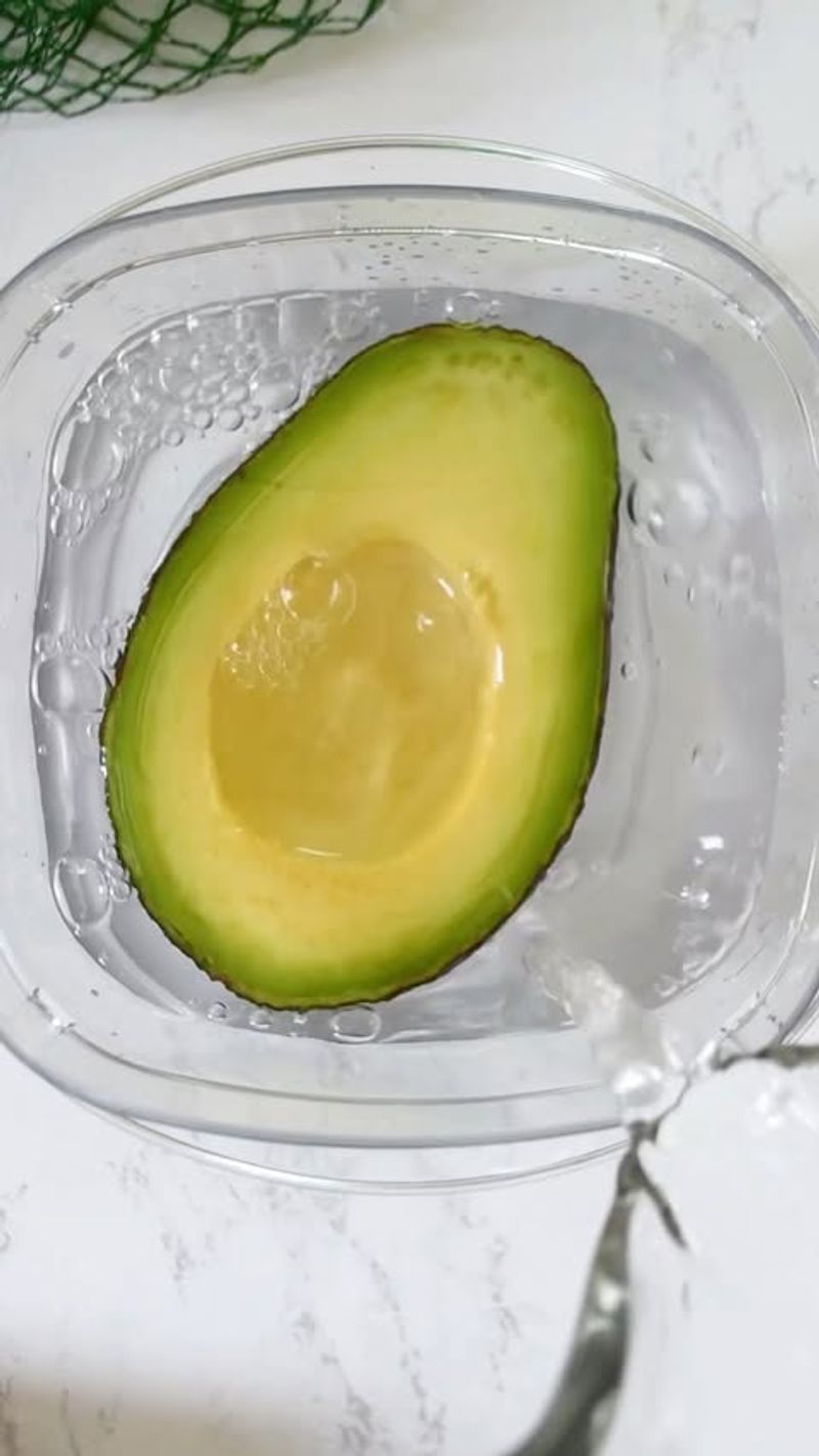 Avocado Storage Solution