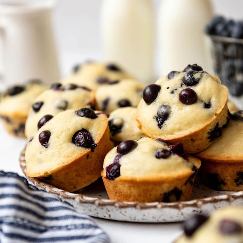 Blueberry Muffins