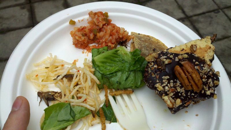 Bugfest