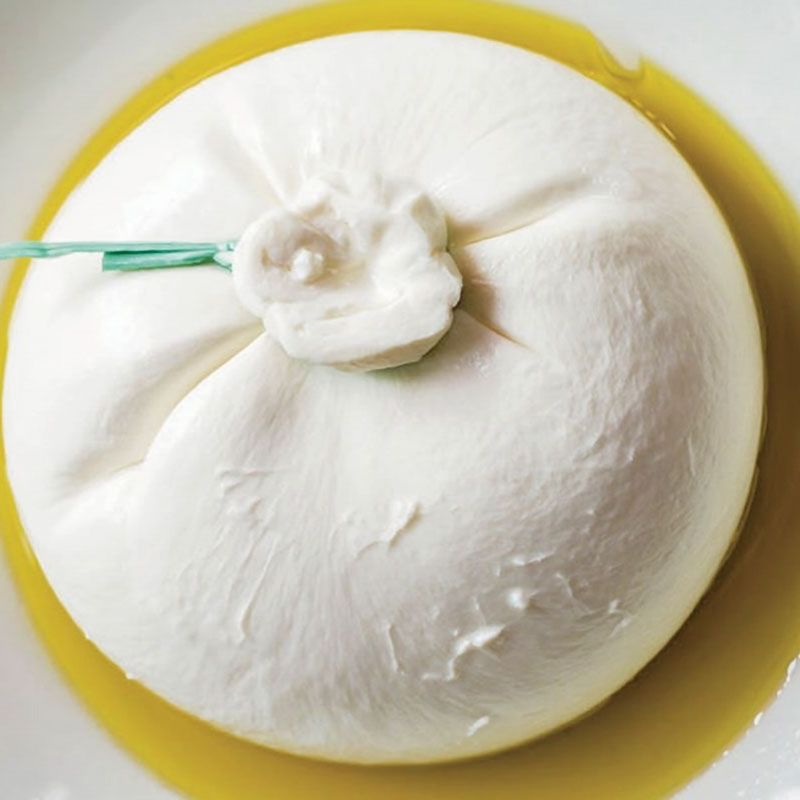 Burrata