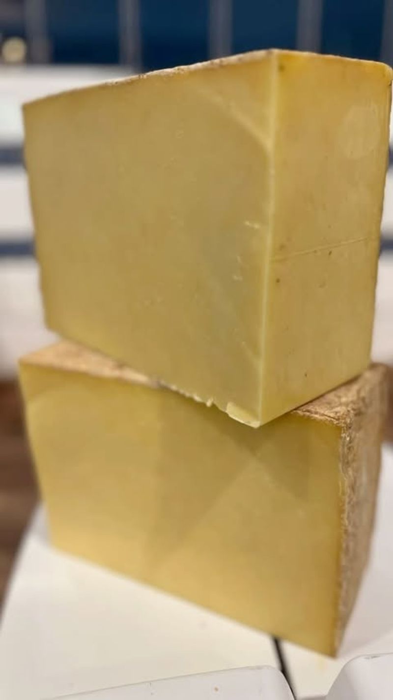 Cheddar