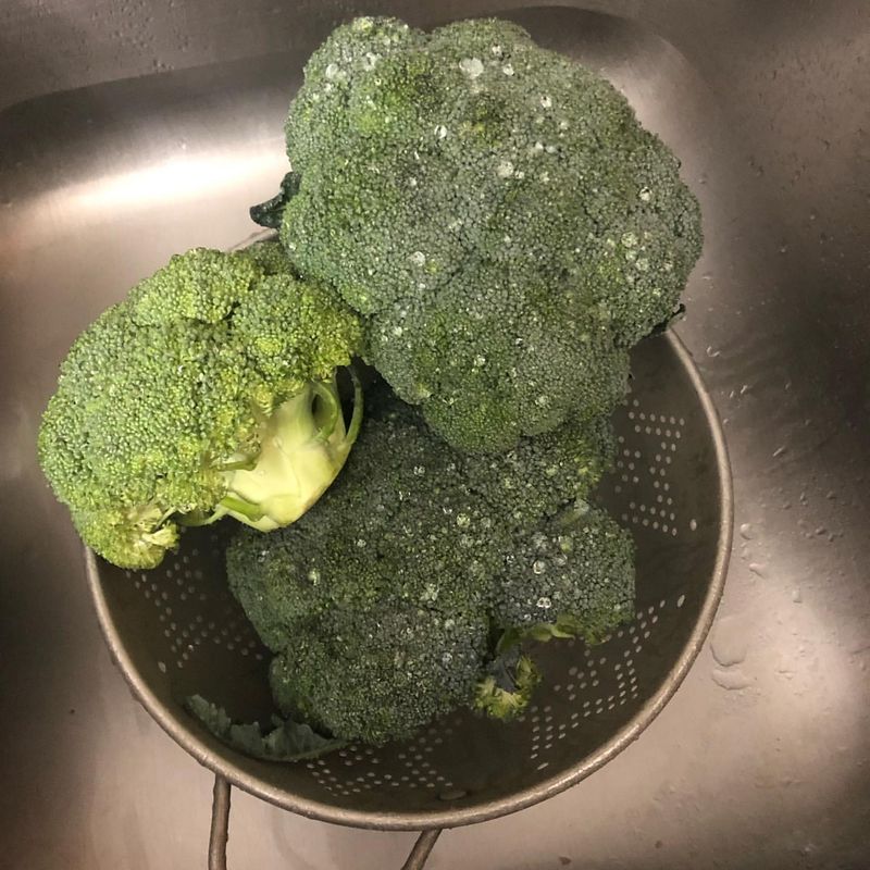 Frozen Broccoli