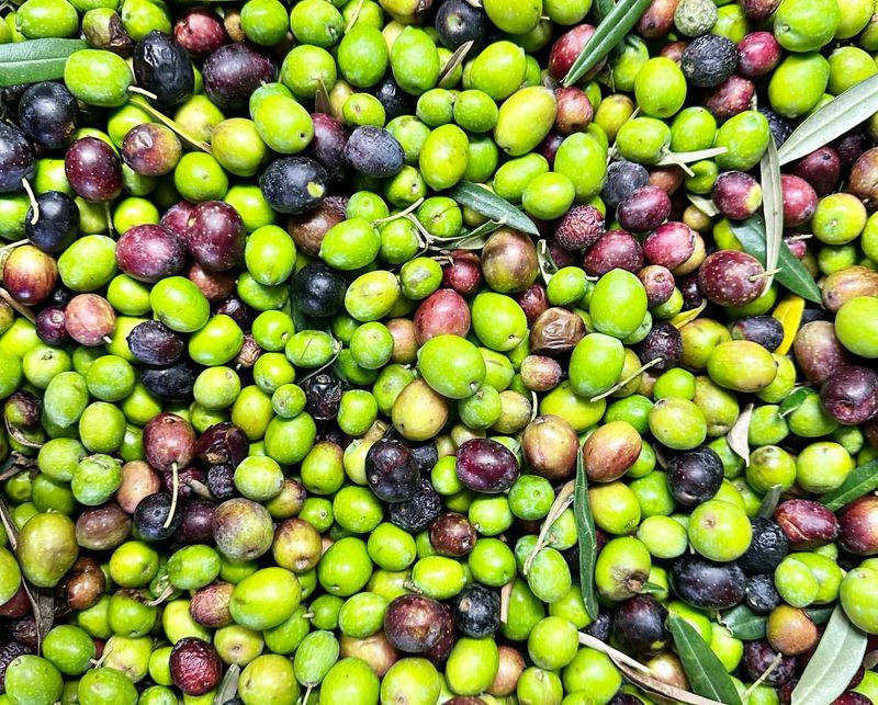 Olives