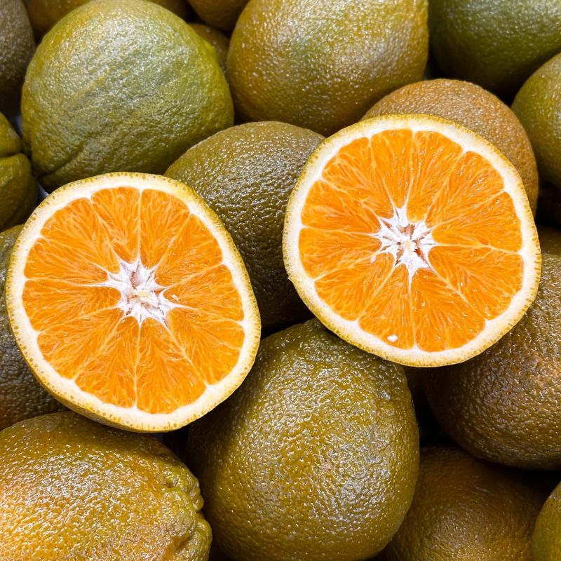 Oranges