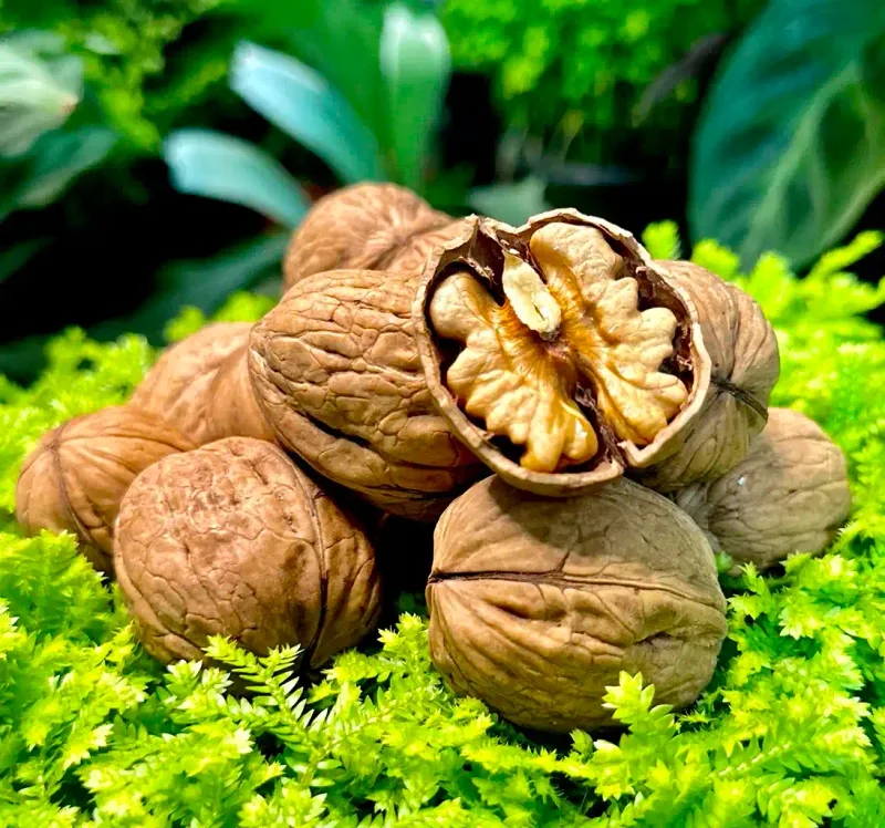 Walnuts