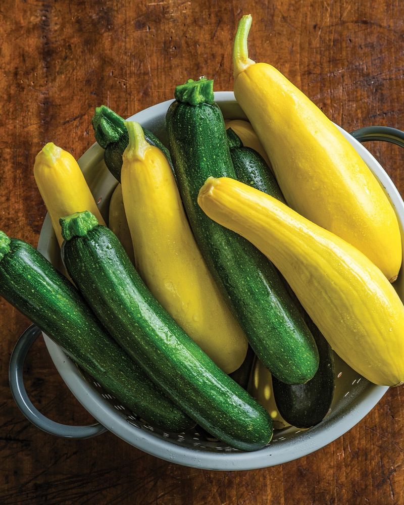 Zucchini