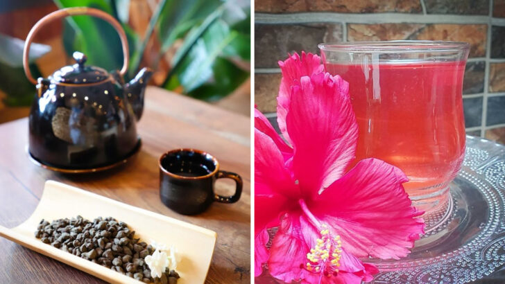 10 Herbal Teas to Avoid If You Have High Blood Pressure, According to Dietitians