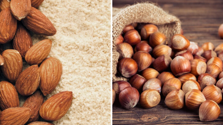 10 Nuts You Should Eat More