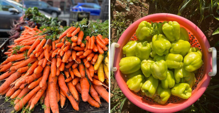 16 Fruits and Veggies You Should Be Eating More Of