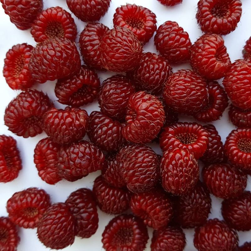 Berries