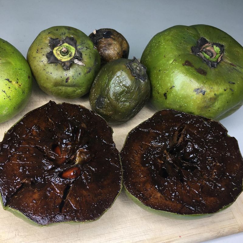 Black Sapote