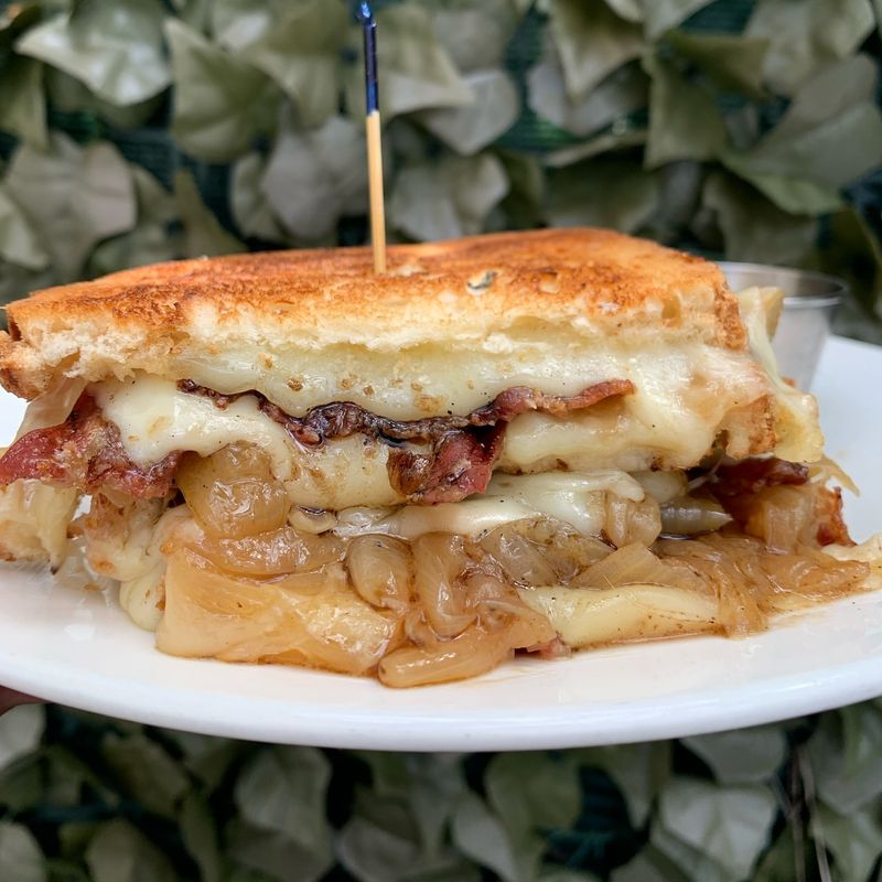 Caramelized Onion and Swiss