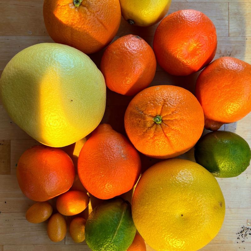 Citrus Fruits