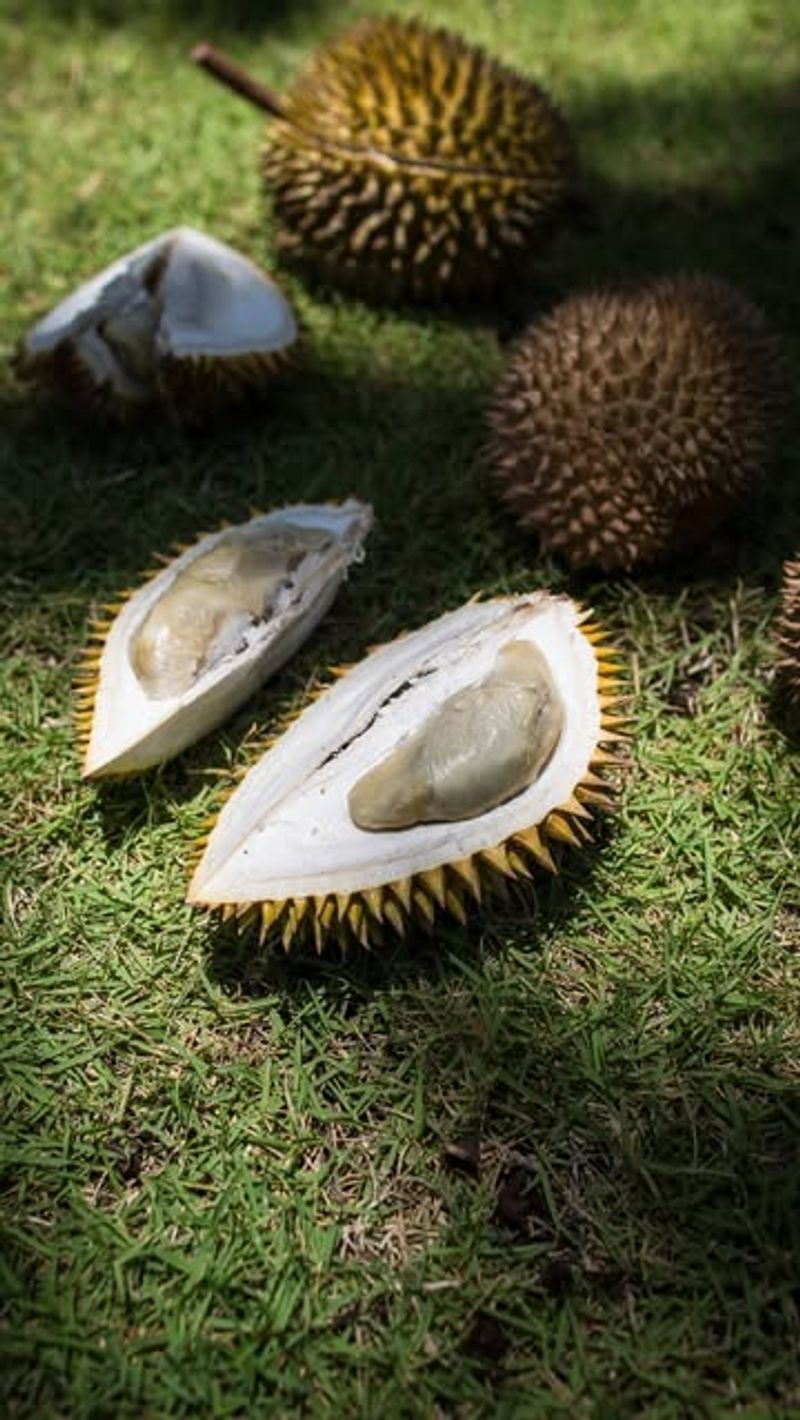 Durian