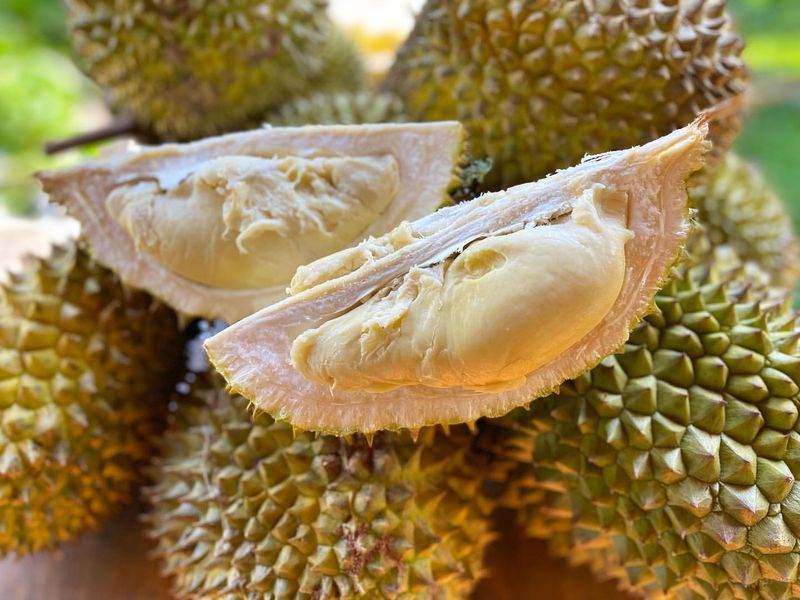 Durian