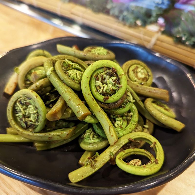 Fiddlehead Ferns