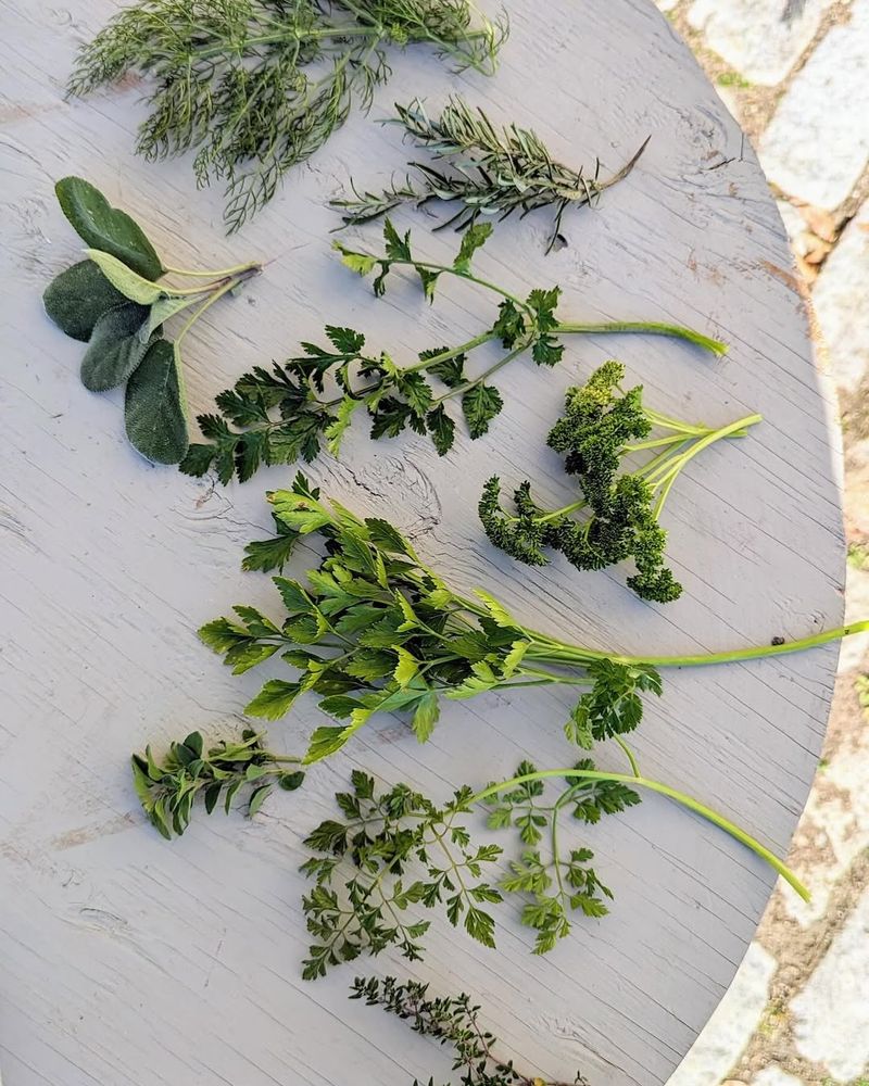 Fresh Herbs