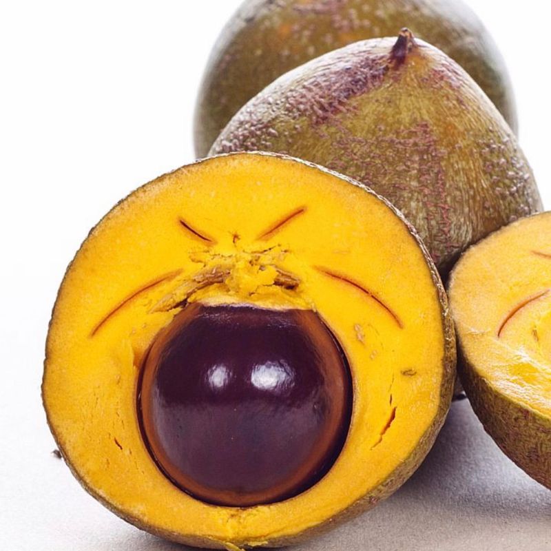 Lucuma