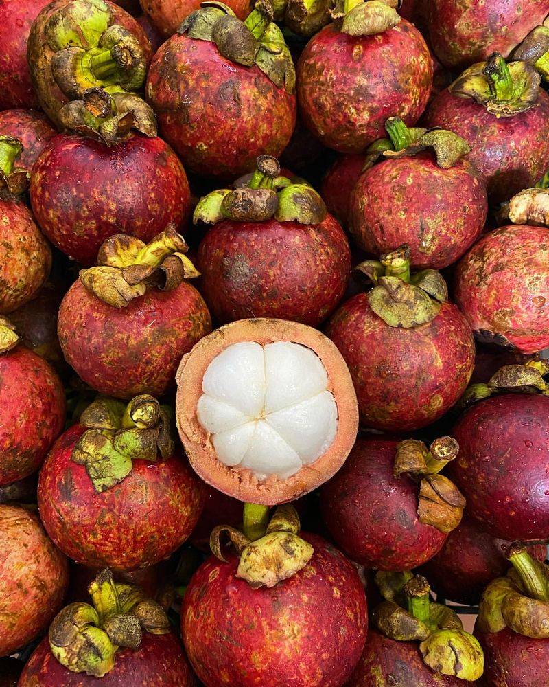 Mangosteen