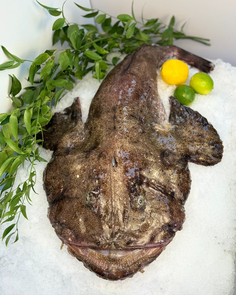 Monkfish