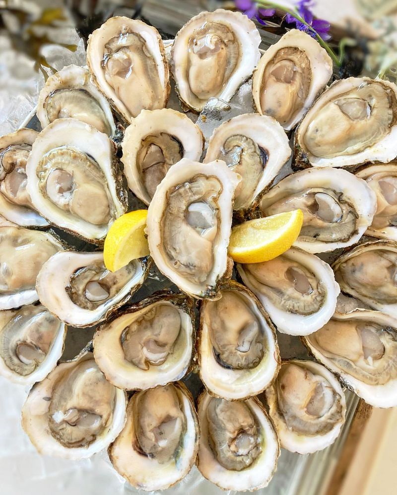 Oysters