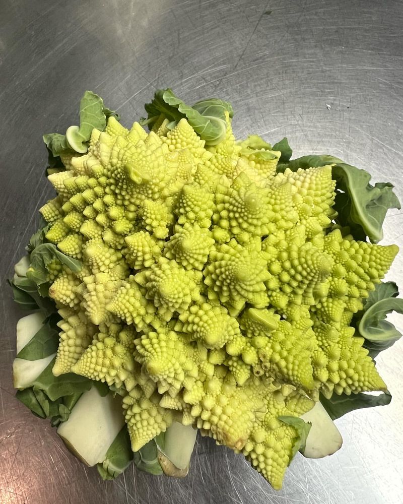 Romanesco Broccoli