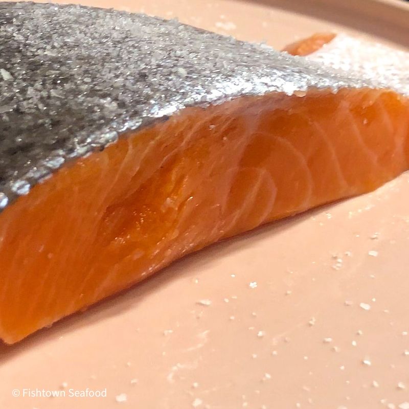 Salmon