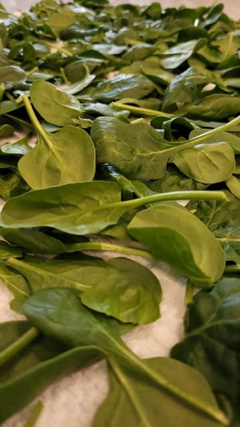 Spinach