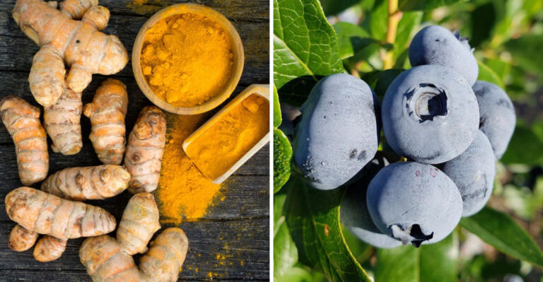 These Are the 20 Healthiest Foods in the World