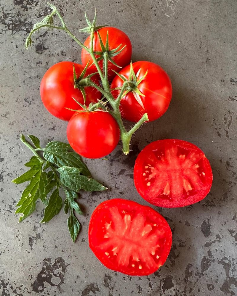 Tomatoes