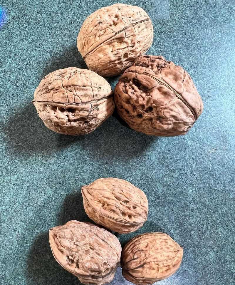 Walnuts