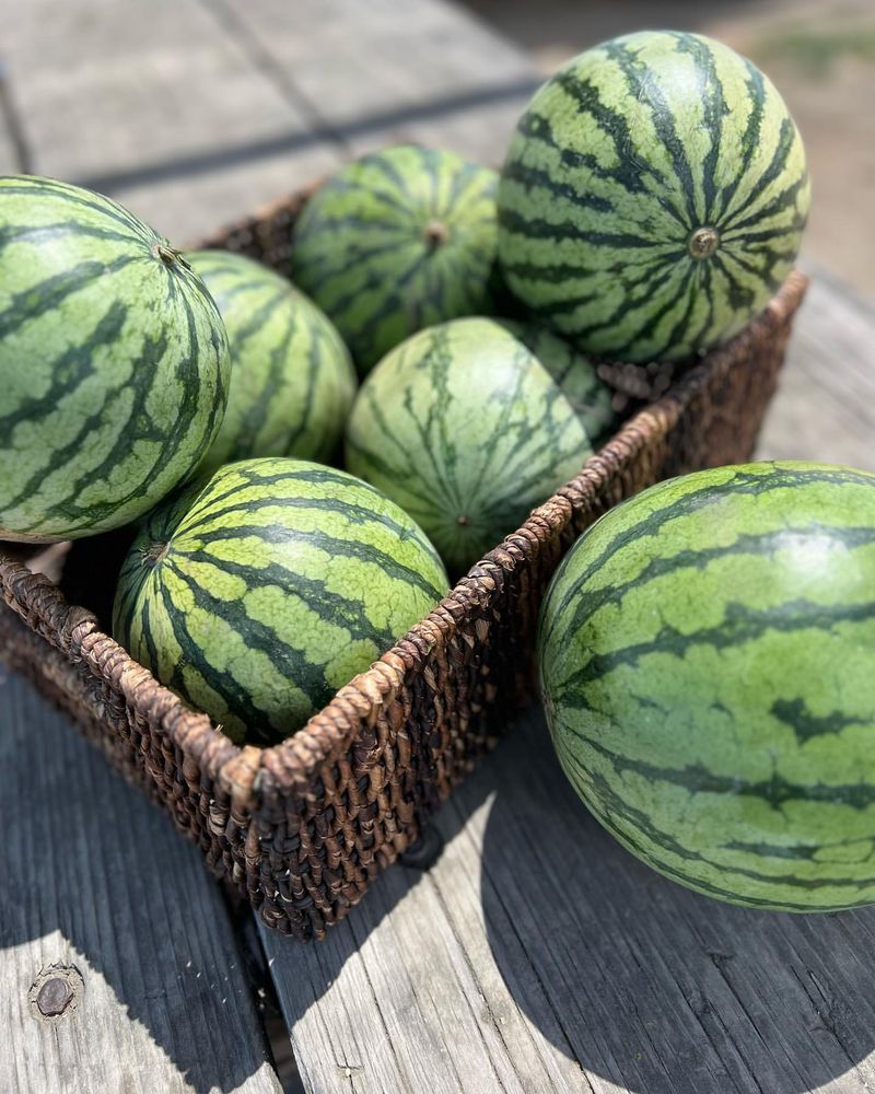Watermelon
