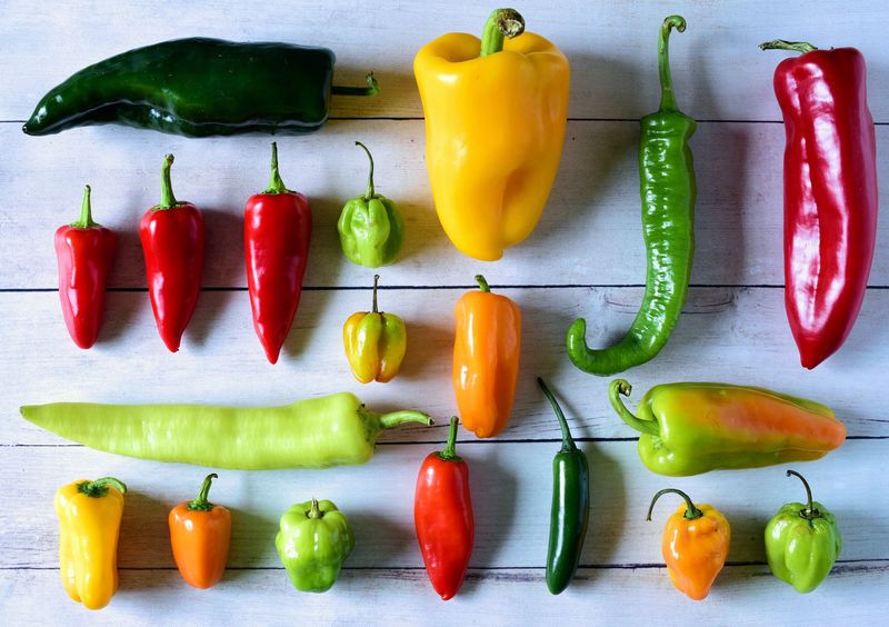 Spicy Pepper Heat