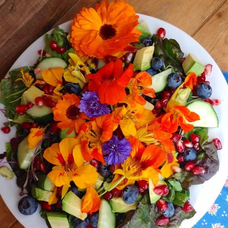 Edible Flower Salads