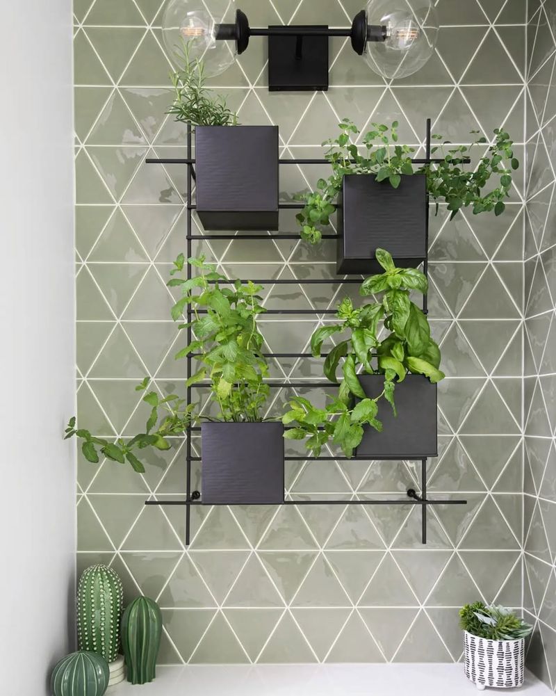 Wall-Mounted Herb Garden