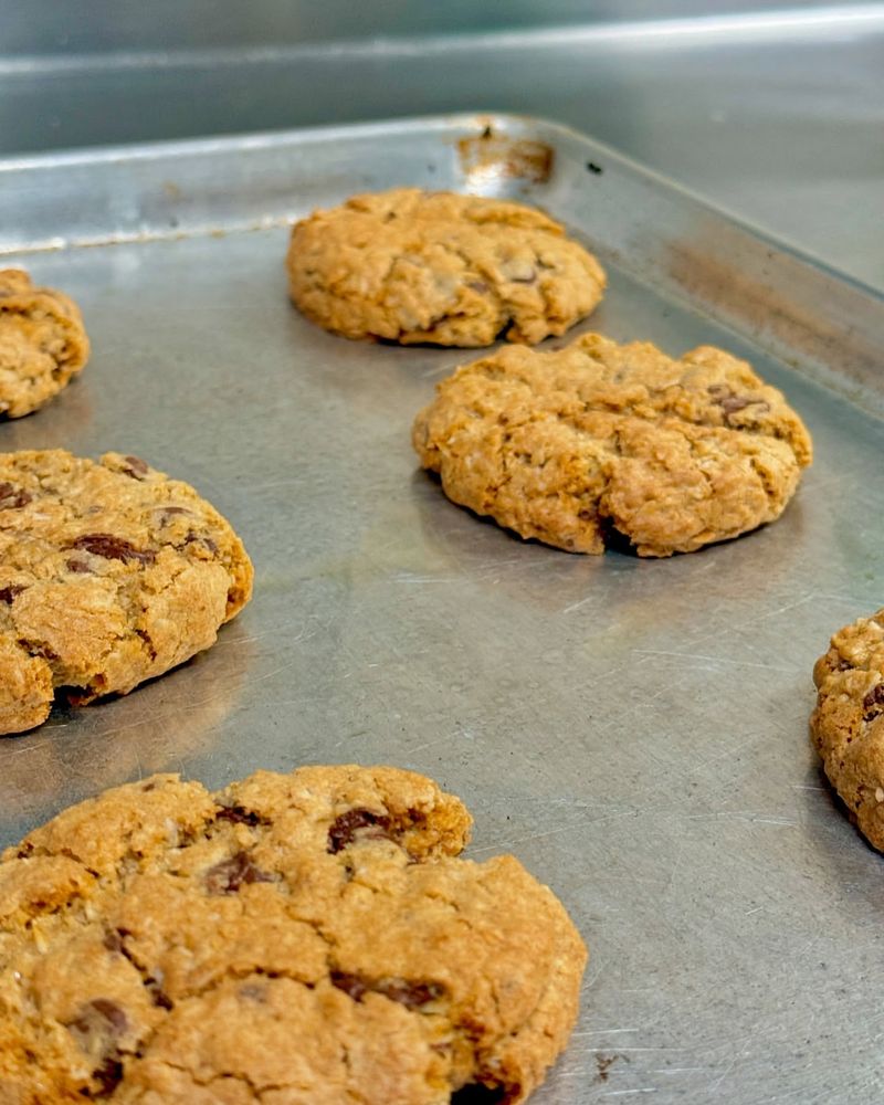 Cricket Flour Cookies