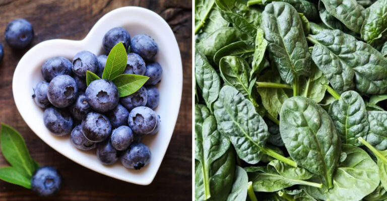 19 Nutrient-Packed Superfoods You Should Be Eating More Of