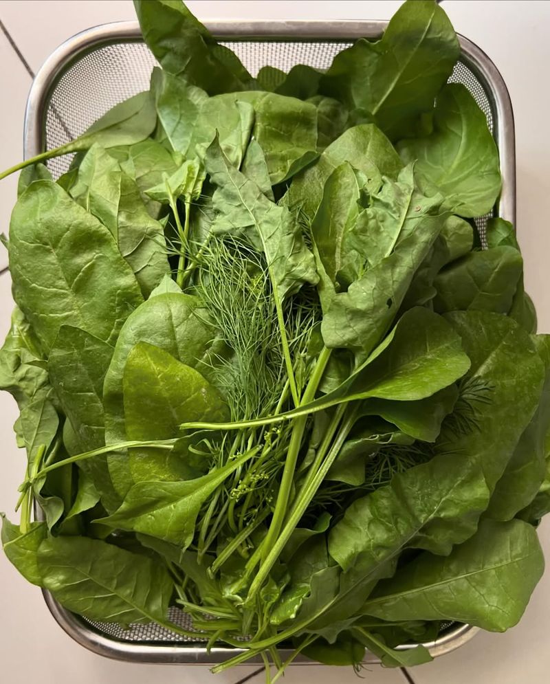 Spinach