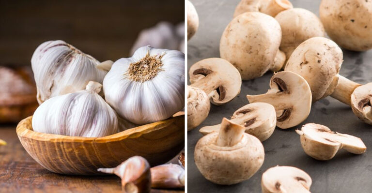 10 Foods You Should Eat Raw Vs. 10 You Should Cook!
