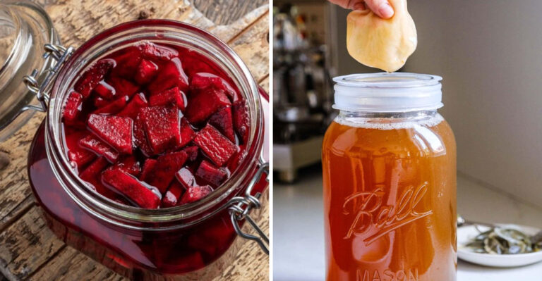 18 Fermented Foods That Do Wonders For Your Digestion