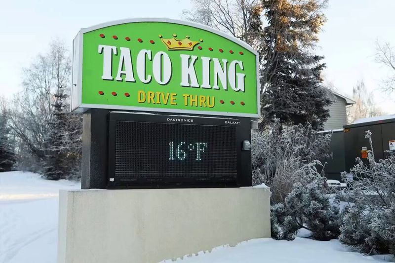 Alaska: Taco King