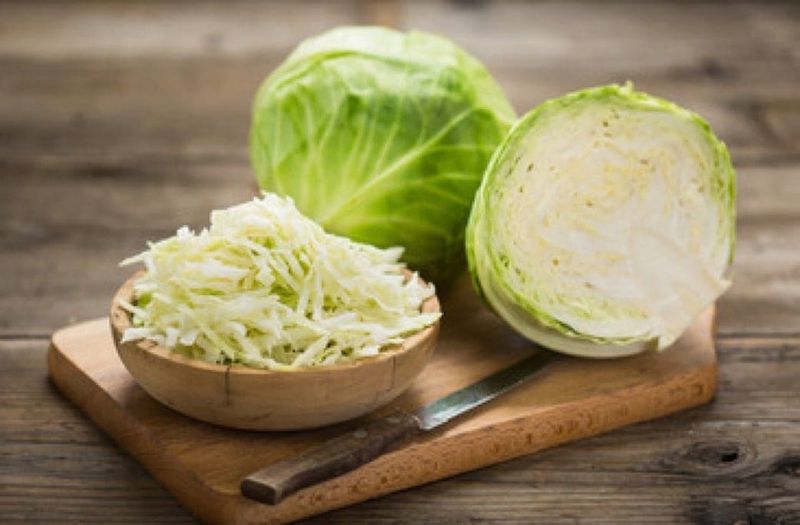 Cabbage