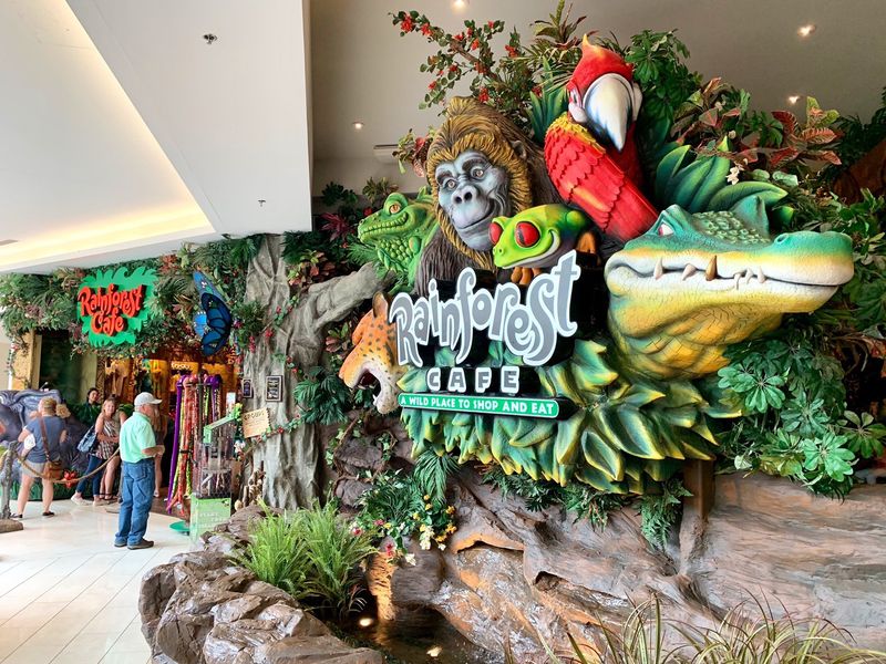 Rainforest Cafe