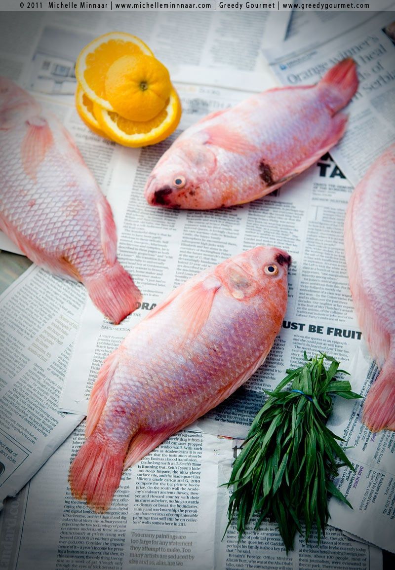Imported Tilapia